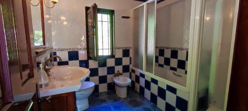 La salle de bains est pourvue d'un lavabo, de toilettes et d'une douche. dans l'établissement El Ferreiru 1, Casa Rural en un Entorno Natural, à Ricabo