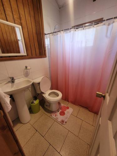 ein Bad mit einem WC, einem Waschbecken und einer Dusche in der Unterkunft Cabañas Arévalo in Futrono