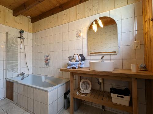 ein Badezimmer mit einem Waschbecken, einem Spiegel und einer Badewanne in der Unterkunft Gîte Rochesson, 4 pièces, 7 personnes - FR-1-589-167 in Rochesson