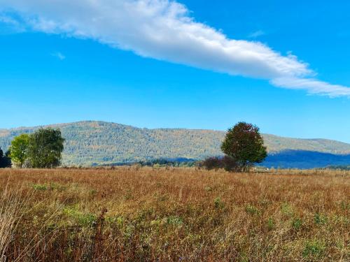 a field of tall brown grass with mountains in the background at Przewietrzona Głowa in Ponikwa