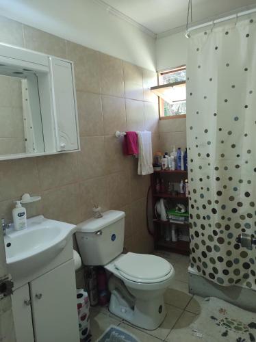 y baño con aseo, lavabo y ducha. en Habitación en Cabaña del lago, en Coñaripe