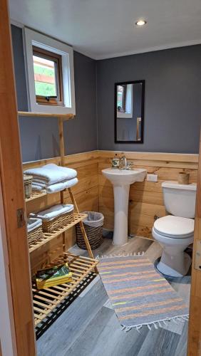 a bathroom with a toilet and a sink at Refugio del río, a orillas del río Cochrane in Cochrane