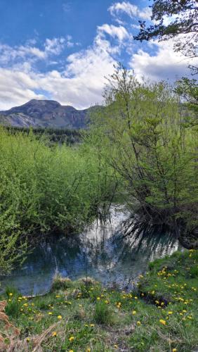 Gallery image of Refugio del río, a orillas del río Cochrane in Cochrane