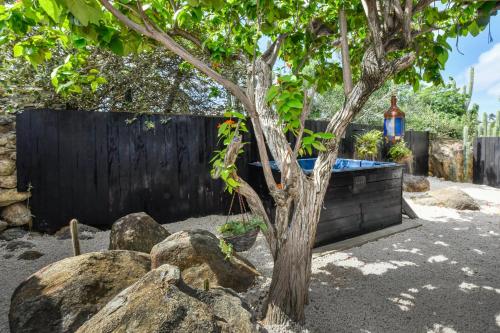 a tree in a yard with rocks and a pool at Mammaloe in Oranjestad