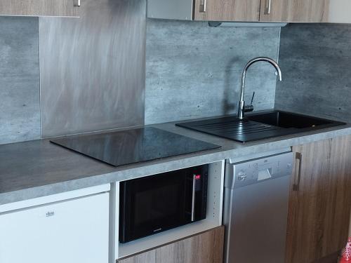 Appartement Les Adrets-Prapoutel, 2 pièces, 5 personnes - FR-1-771-47