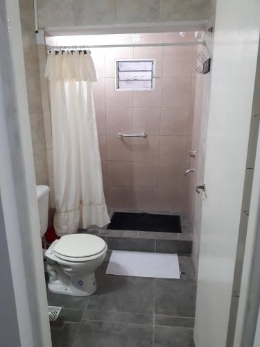 a bathroom with a toilet and a shower at Departamento federación in Federación