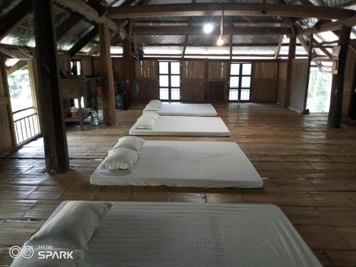 una fila di materassi bianchi sono allineati in una stanza di Puluonghomestay2 a Làng Cào