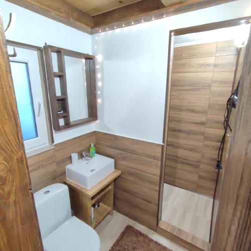a bathroom with a toilet and a sink and a shower at Family Plai in Yaremche