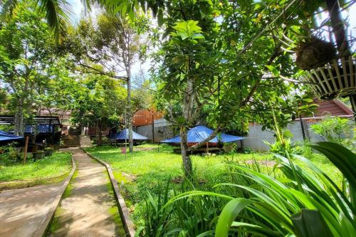 a garden with a group of tents in the grass at CL Homestay in Sen Monorom