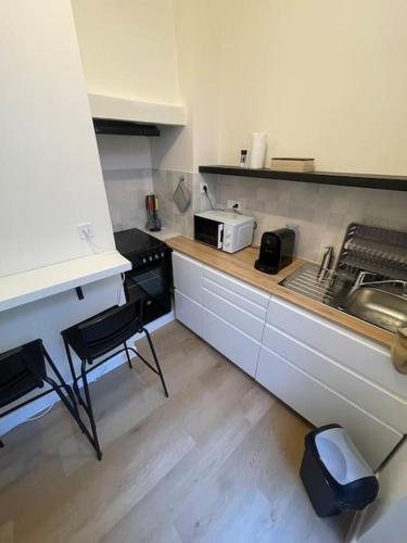 une cuisine avec un comptoir avec un évier et un micro-ondes dans l'établissement Appartement ancien à Orléans, à Orléans