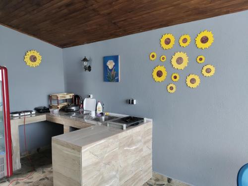 a kitchen with sunflower stickers on the wall at Villa SUNFLOWER in Mostar