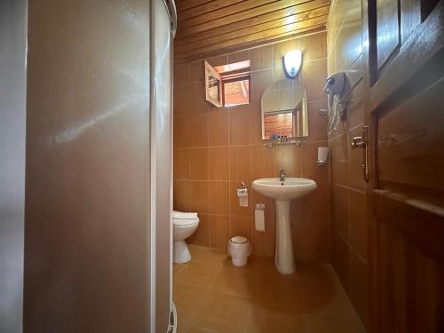 a small bathroom with a toilet and a sink at Likya Yanartaş Bungalow in Kemer