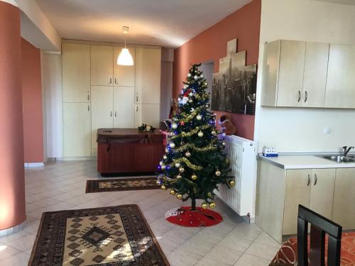 Un árbol de Navidad en medio de una cocina en Casa in giardino, en Kalambaka