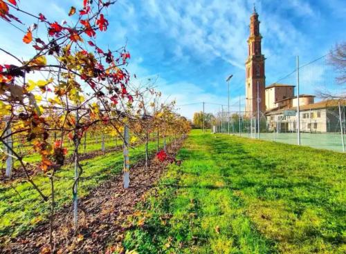 een rij fruitbomen met een klokkentoren op de achtergrond bij La Casetta nel vigneto in Reggio Emilia