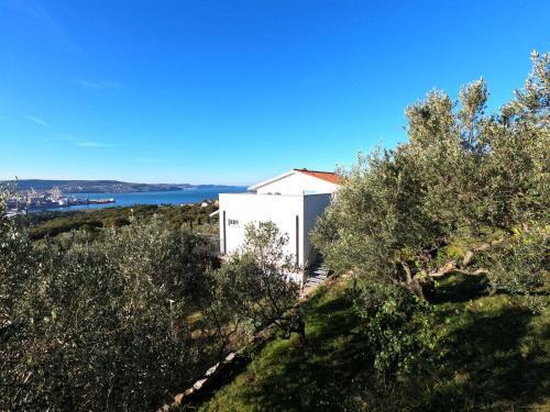 un edificio blanco en la cima de una colina con árboles en House among olive trees with a sea view 1, en Ankaran