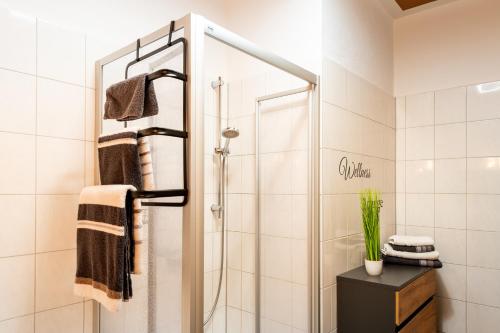 a bathroom with a shower with a glass door at Großzügiges Apartment im Loft-Stil in Bad Berneck im Fichtelgebirge