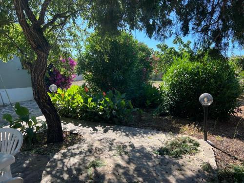 einen Garten mit einem Baum und einigen Büschen und einem Stuhl in der Unterkunft I Mandorli in Porto Conte