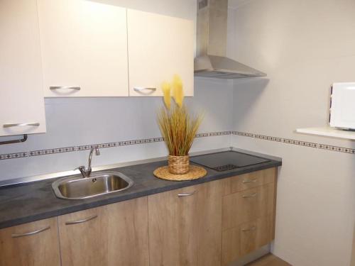 a kitchen with a sink and a counter top at La Encina in Lerma