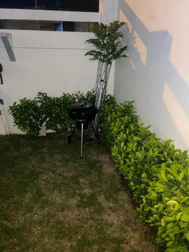 a black chair sitting next to a wall with plants at RESIDENCE MH SERVICES Cotonou in Cotonou