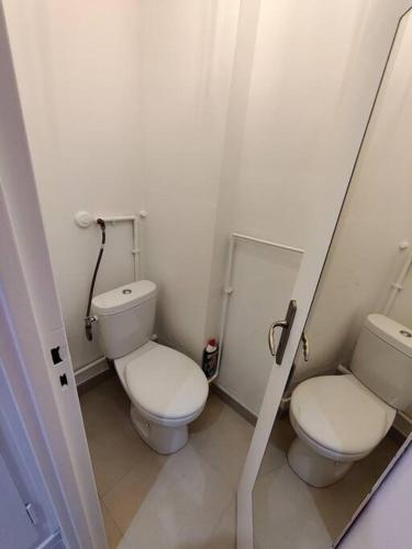 - une salle de bains avec 2 toilettes dans une chambre dans l'établissement appartement hyper centre-ville, petite France, à Strasbourg
