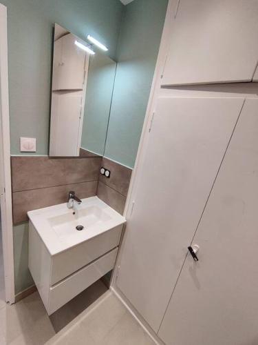 une salle de bain avec un lavabo blanc et un miroir dans l'établissement appartement hyper centre-ville, petite France, à Strasbourg