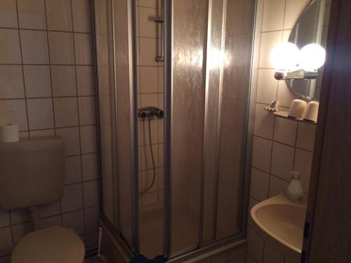 ein Bad mit einer Dusche, einem WC und einem Waschbecken in der Unterkunft Hotel Stadt Leipzig in Roßwein