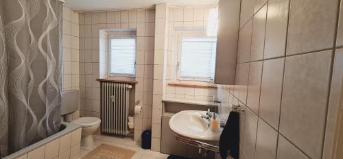 La salle de bains est pourvue d'un lavabo et de toilettes. dans l'établissement Nomadengold, à Ottobrunn