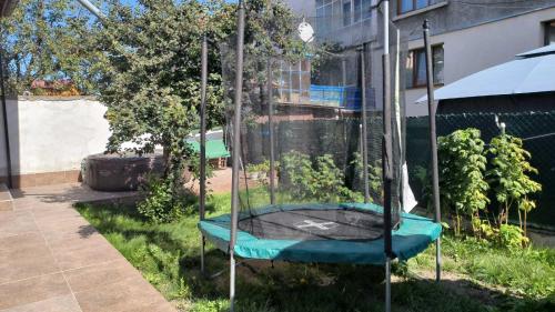 a swing in the grass in a yard at Tea House Samokov in Samokov