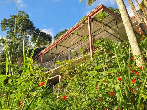 a house with a bunch of plants in front of it at Sunburst view in Ella