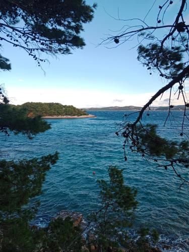a view of a large body of water with trees at Mobilehome Mali No 2 in Pakoštane
