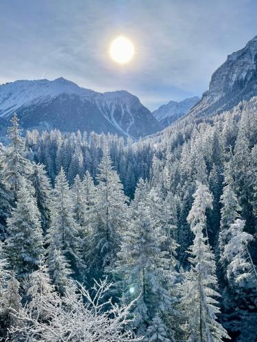 a snowy forest with snow covered trees and mountains at Sonnige Panorama Aussicht bei Davos Lenzerheide in Schmitten