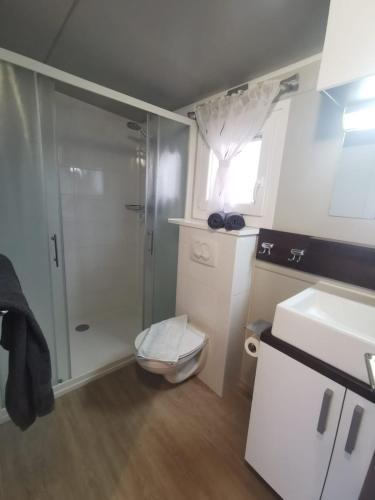 a small bathroom with a shower and a toilet at Mobilehome Mali No 2 in Pakoštane