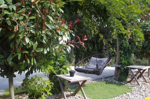 a chair and a table under a tree at Hotel Apartamentos Rock Star in Taboadela