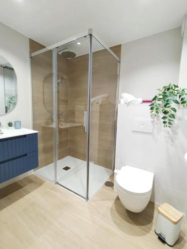 a bathroom with a shower and a toilet and a sink at Apartamento junto a Ayuntamiento y Playa in Gijón