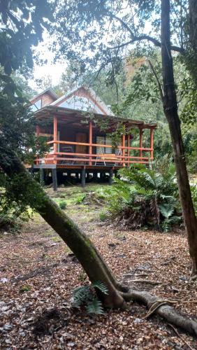 una casa en el bosque con un árbol caído en Agradable Cabaña inserta en bosque nativo en Pucón