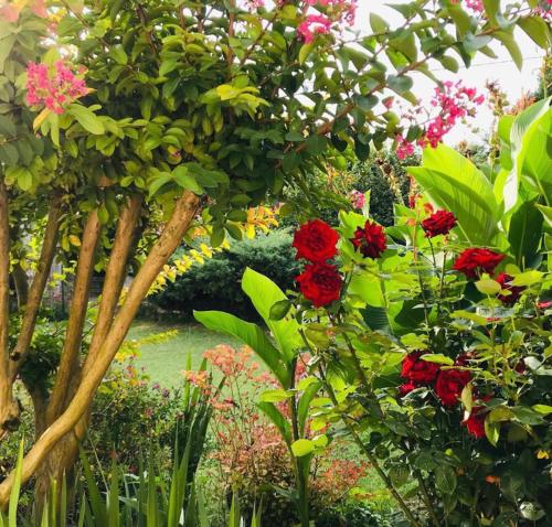 a garden with red and pink flowers and trees at Gîte Au Boom Coeur - petit déjeuner inclus - SPA en option in Tourtenay