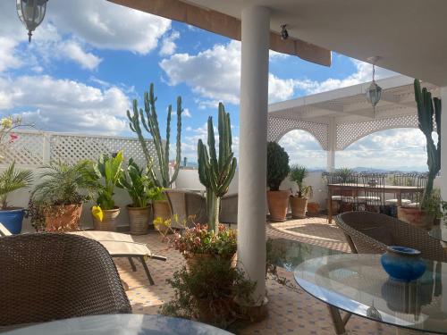 a patio with a table and chairs and plants at Dar Sami, Riad Bab Kasbah in Tangier