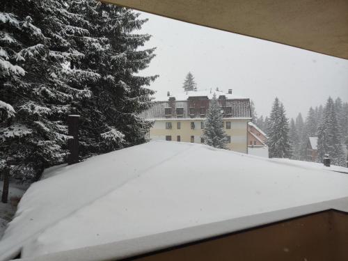 a snow covered roof of a house next to a tree at Apartmani Čolić Vlašić in Vlasic