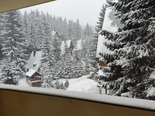 a view of a snow covered forest from a window at Apartmani Čolić Vlašić in Vlasic
