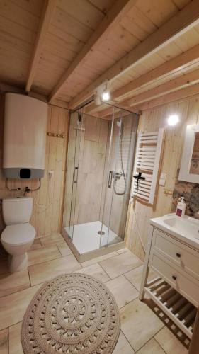 a bathroom with a shower and a toilet and a sink at Nasze Podlasie, Domek w Dubiczach Cerkiewnych in Dubicze Cerkiewne