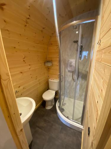 a bathroom with a toilet and a shower at Willow Nook, near Saundersfoot and Tenby in Saundersfoot