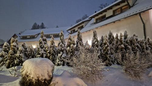 a group of trees covered in snow in front of a building at Widokowo - Domki z widokiem na Śnieżkę z Jacuzzi i Sauną in Karpacz