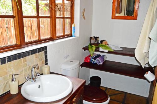 een badkamer met een wastafel en een toilet bij Bona Ngwenya Lodge & Safaris in Marloth Park