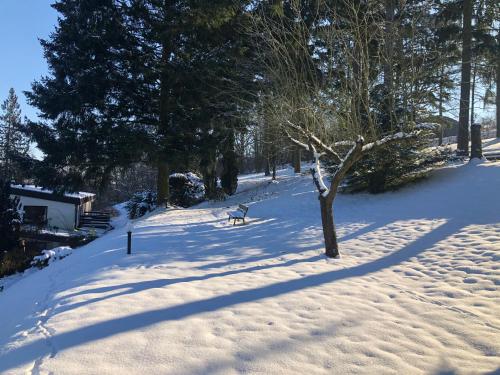 a snow covered park with a bench and a tree at Haus am Wald in Eltmann