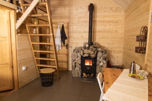 une chambre avec un poêle à bois dans une cabine dans l'établissement Drewniany domek pod masywem Śnieżnika, à Nowa Morawa