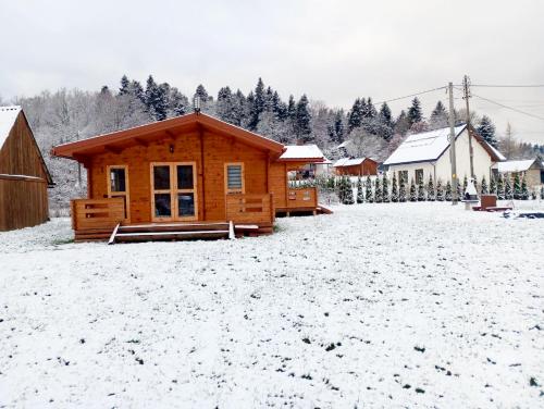 Το Domek nad Olszanka τον χειμώνα