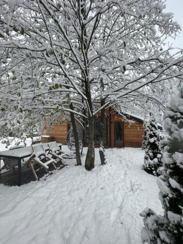 a snow covered yard with a tree and benches at Villa Alpina Brezovice in Brezovicë