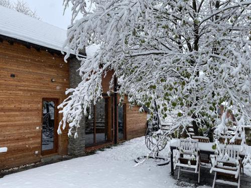 a tree covered in snow next to a building at Villa Alpina Brezovice in Brezovicë