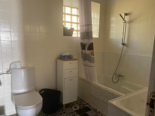 uma casa de banho com um WC, um chuveiro e um lavatório. em Pivoine em Bellegarde-sur-Valserine