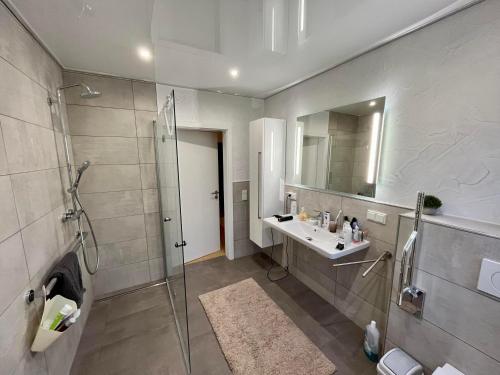 a bathroom with a shower and a sink and a mirror at Hennen-Nest in Sankt Ingbert